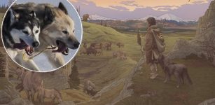 Early settlers in the Americas were accompanied by their dogs. Credit: Ettore Mazza