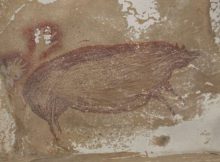 World's Oldest Known Cave Painting - 45,000-Year-Old Depiction Of Wild Pig Discovered At Leang Tedongnge Cave