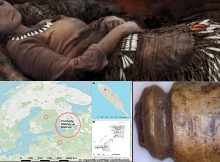 Teeth Pendants And Prominent Status Of Elks In Stone Age - New Study