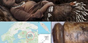 Teeth Pendants And Prominent Status Of Elks In Stone Age - New Study