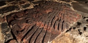 Huge Golden Eagle Relief Made By The Aztecs Discovered At Tenochtitlan