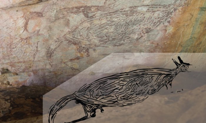 Australia's Two-Meter-Long And Oldest Known Rock Painting Of A Kangaroo - Revealed