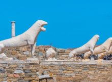 Archaic Marble Lions On The Sacred Island Of Delos