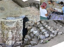 Huge Maya Stucco Mask Unearthed At Ucanha Site In Yucatan