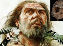 Mysterious Denisovans - New Study Offers News Evidence