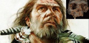 Mysterious Denisovans - New Study Offers News Evidence