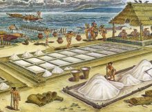 Ancient Maya Saltworks: Salt Was A Commodity Or Money In Classic Maya Economy