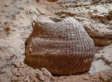 Perfectly Preserved 10,500-Year-Old Basket Found In Muraba'at Cave