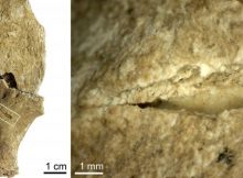 Jebel Sahaba: Analysis of 13,000-Years-Old Bones Reveals Prehistoric Violent Raids But Not A Single Armed Conflict 