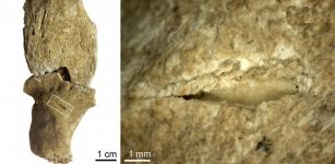 Jebel Sahaba: Analysis of 13,000-Years-Old Bones Reveals Prehistoric Violent Raids But Not A Single Armed Conflict 