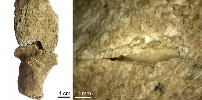 Jebel Sahaba: Analysis of 13,000-Years-Old Bones Reveals Prehistoric Violent Raids But Not A Single Armed Conflict