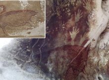 Climate Change Will Soon Erase Ancient Cave Art Of Sulawesi, Indonesia