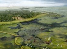 Pre-Columbian People Of The Amazon Altered Their Landscape Thousands Of Years Earlier Than Previously Thought