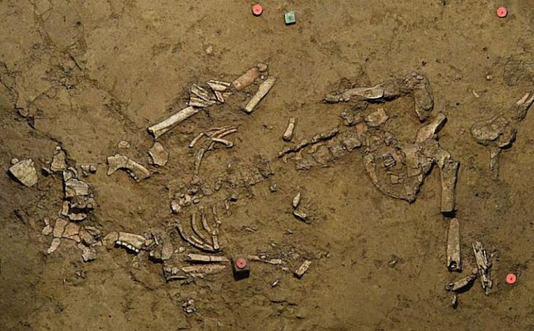 Gold Spiral In Early Bronze Age Grave - Unearthed - Ancient Pages