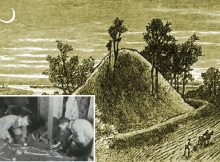 Spearhead Mound - Destroyed Burial Place Of Adena Giants?