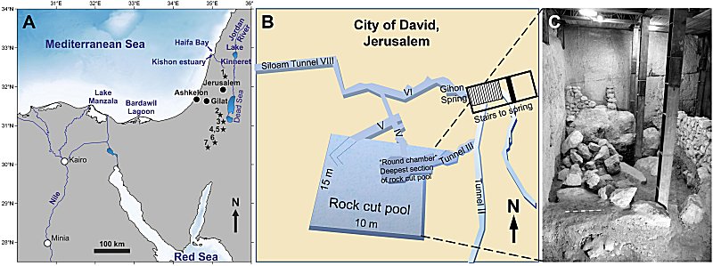 Map of the main water bodies and potential fish habitats of Egypt and the Southern Levant: Mediterranean Sea, Red Sea, upper Nile River, the brackish Lake Manzala on the Nile delta, the hypersaline Bardawil Lagoon in northern Sinai, and the freshwater Lake Kinneret and Jordan River, its main tributary, in northern Israel