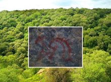Mangar Bani Hides An Ancient Secret - Are These The Oldest Cave Paintings In India?