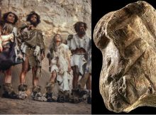 51,000-Year-Old Bone Carving Shows Neanderthals Were Artistic Long Before Humans Arrived