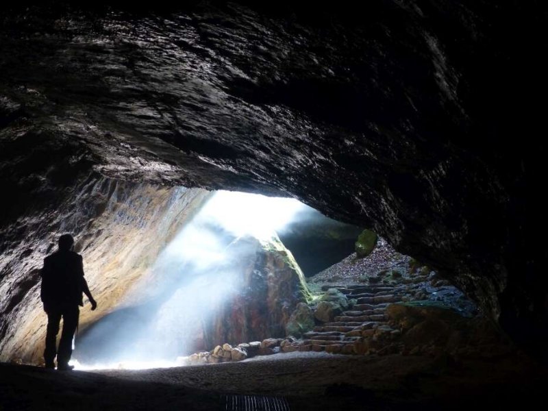 51,000-Year-Old Bone Carving Shows Neanderthals Were Artistic Long Before Humans Arrived