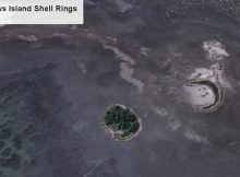 Never-Before-Seen Archaic Shell Rings Left By Indigenous People Revealed By Remote Sensing And Machine Learning