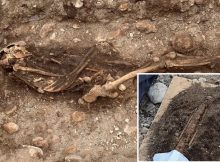 Unusual Iron Age Burial With Warrior And Sword Discovered On Gotland, Sweden - Was He From The Roman Empire?