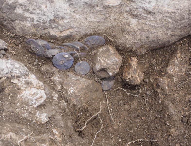 A hoard of silver coins found in the estate. Photo: Assaf Peretz, Israel Antiquities Authority