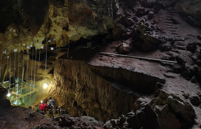 Early Homo Sapiens from Southeast Asia Could Adapt To A Rainforest Environment