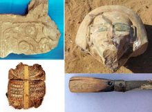 20 Mummies Discovered In Greco-Roman Tombs In Aswan, Egypt