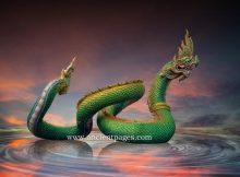 Apalala: Harsh Dragon Controlling Swat River Who Became Benevolent Naga King Helping People In Buddhist Tradition