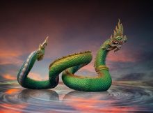 Apalala: Harsh Dragon Controlling Swat River Who Became Benevolent Naga King Helping People In Buddhist Tradition