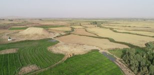 Ancient Mesopotamian Discovery Changes Our Understanding Of Early Agriculture Practices