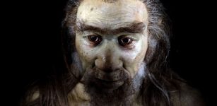 Modern Humans Carrying The Neanderthal Variant Have More Protection Against Oxidative Stress