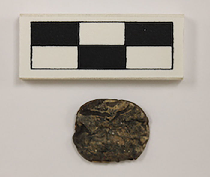 Beer And Hallucinogens Reinforced The State Of The Wari Culture