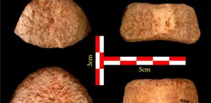 1.5 Million-Year-Old Human Vertebra Discovered In Israel's Jordan Valley Sheds New Light On Migration From Africa To Eurasia