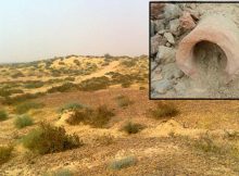 Indus Civilization And Complex Patterns Of Urbanity - New Study