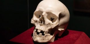 SKD, Foto: Oliver Killig Gian Lorenzo Bernini, Skull, 1655