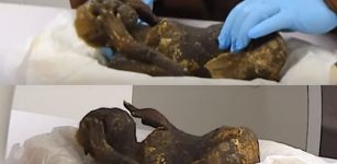 Mysterious Mermaid Mummy Investigated By Scientists