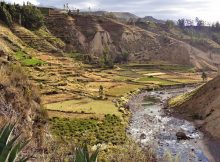Climate In The Andes Has Driven 7,000 Years Of Dietary Changes - New Study Reveals
