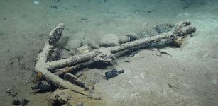 207-Year-Old Whaling Shipwreck Discovered In Gulf Of Mexico