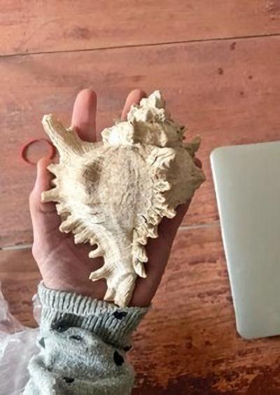 Second Gate Of Bazira And Unique Artifact Discovered In The Ancient City Of Alexander The Great