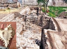 Second Gate Of Bazira And Unique Artifact Discovered In The Ancient City Of Alexander The Great