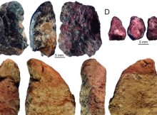 Homo sapiens In China And What Happened When They Encountered Denisovans Or Neanderthals