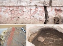 The Colored Skeletons Of 9000-Year-Old Çatalhöyük, Turkey - New Examination