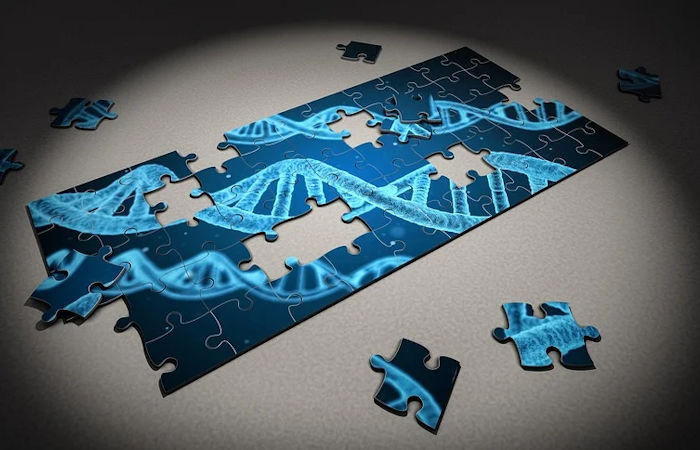 What Caused The Unexplained Change In Europeans' DNA 4000-5000 Years Ago? Scientists Say The Genetic Turnover Remains A Mystery