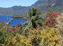 Reconstructing The Lost Ancient World Of The Marquesas Islands With Unique Plants And Animals