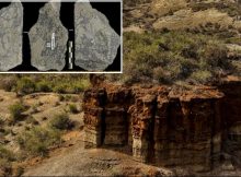 Olduvai Gorde: Direct Cosmogenic Nuclide Dating Of Olduvai Lithic Industry