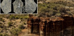 Olduvai Gorde: Direct Cosmogenic Nuclide Dating Of Olduvai Lithic Industry