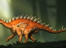 New Species Of Stegosaur Is Oldest Discovered In Asia, And Possibly The World