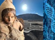 What Can A New Study Of 5,000-Year-Old DNA Tell About The Mysterious Tarim Basin Mummies?