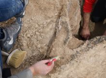 Unique, Well-Preserved 4,000-Year-Old Boat Discovered Near The Ancient City Of Uruk